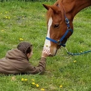 Meet your Posher, Kendall